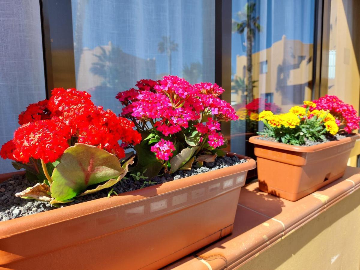Casa Ledu - Sunny Holiday In Fuerteventura Corralejo Kültér fotó